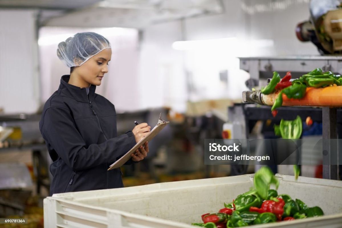 wireless freezer temperature monitoring